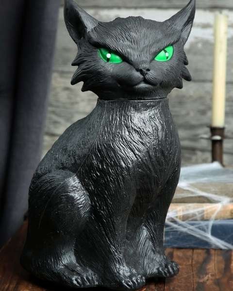 animated creepy cat with green eyes